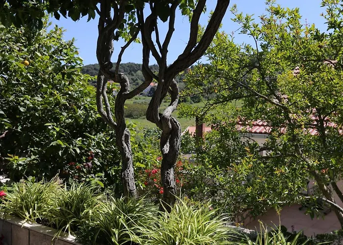 With Parking Space Lumbarda, Korcula - 4473 * Lumbarda