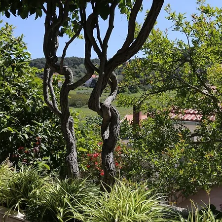 With Parking Space Lumbarda, Korcula - 4473 * Lumbarda